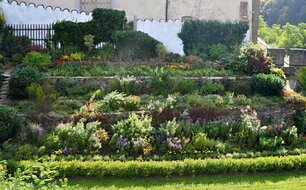 Pohled na podzimní okrasnou zahradu pod mostem 