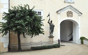 Lípa stříbrná na prvním nádvoří 